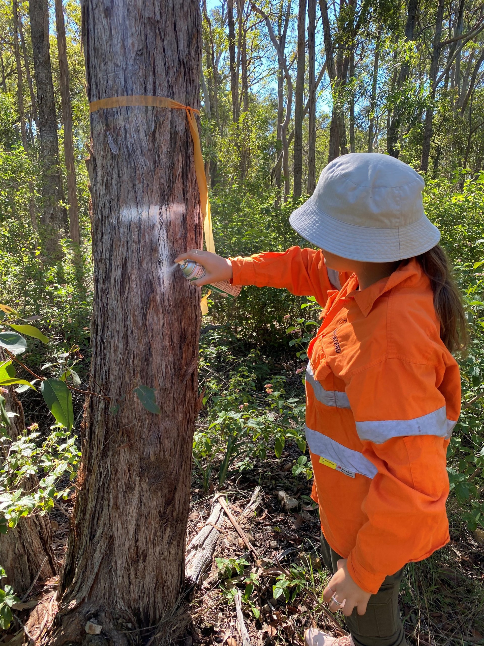 ecological-assessment-report-environmental-ecologist